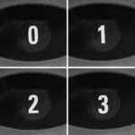 Kvarcinis infraraudonųjų spindulių šildytuvas Trotec IR 2000 S 06-00375 - Image 4