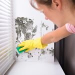 Meteorologinė stotelė Trotec BZ 07 36-00006 - Image 9