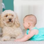 Temperatūros ir drėgmės jutiklis Feelspot FS-TH03W WiFi, Tuya 50-00031 - Image 5